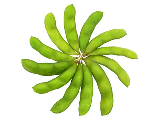 Edamame soy beans shelled in flower shape isolated