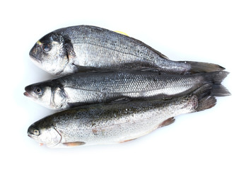 Fresh fishes isolated on white
