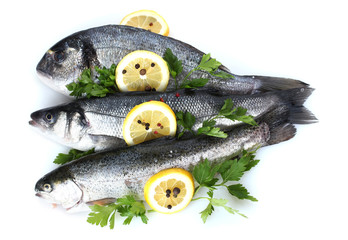 Fresh fishes with lemon, parsley and spice isolated on white
