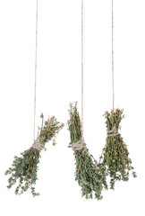 fresh green thyme hanging on rope isolated on white
