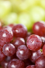 Red and green grapes