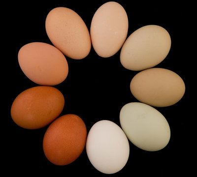 Circle of Eggs