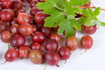Ripe gooseberries