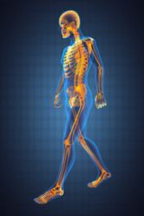 walking man radiography