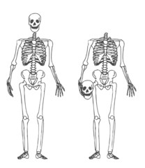Squelette - tête sous le bras