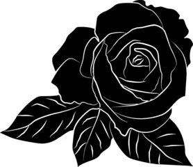Papier Peint photo Fleurs noir et blanc silhouette rose noire - à main levée, illustration vectorielle