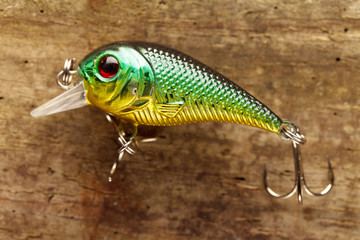 fishing lure