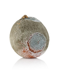 Rotten orange