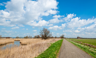 Narrow country road along wetlands and a fenced meadow
