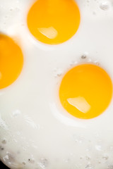 Fried egg in pan
