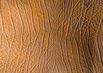 old brown leather background
