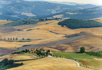 Landscape in Val d'Orcia (Tuscany)