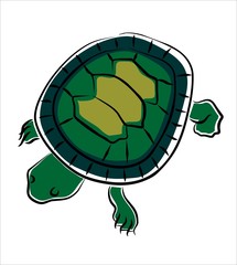 tortuga