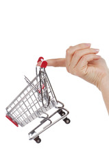 The shopping cart isolated on white background © Vladimir Voronin
