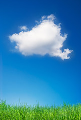 Fototapeta na wymiar chmury i trawa panorama