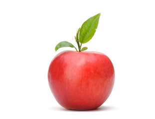 Red apple