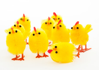 group of easter chickens and the fallen leader