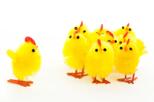 group of easter chickens and one leader