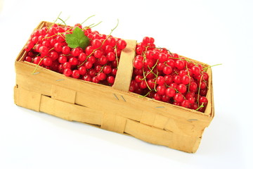 Rote Johannisbeeren