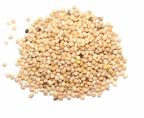 pile millet isolated on white background