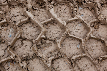 Tire Tracks in Mud