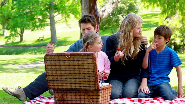 Family picnicking together