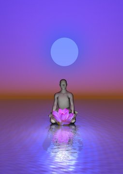 Meditation and waterlily