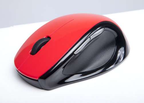 mouse