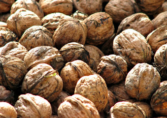 Wallnuts
