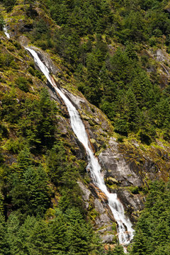Himalaya Landscape: waterfall and forest trees