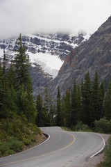 Cavell Road, Jasper National Park, Canada