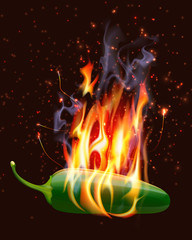 Burning Hot Jelapeno Pepper