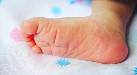 baby foot