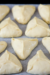 Central Asian meat samsa