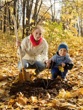family planting tree in autumn