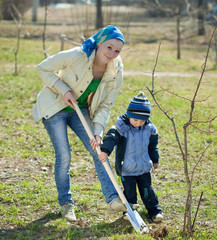 woman with her son resetting  tree