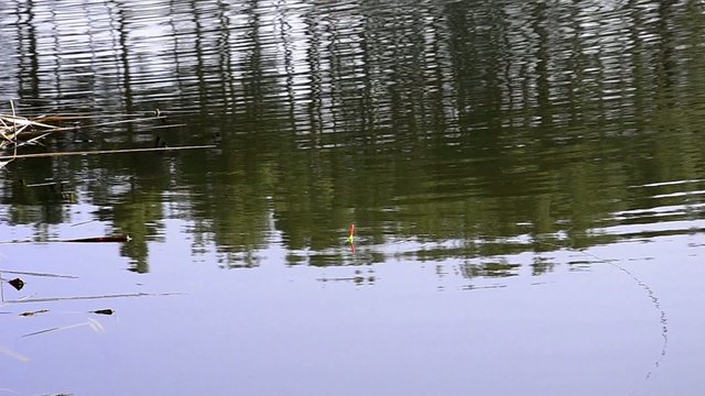 Spring fishing