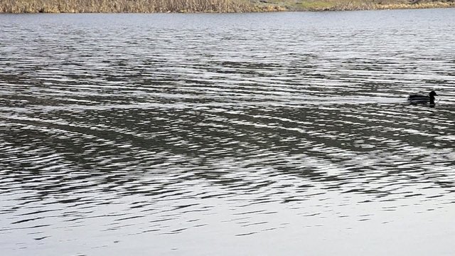 Spring fishing