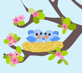 Poster Im Rahmen Zwei kleine blaue Vögel in einem Nest. © unnibente