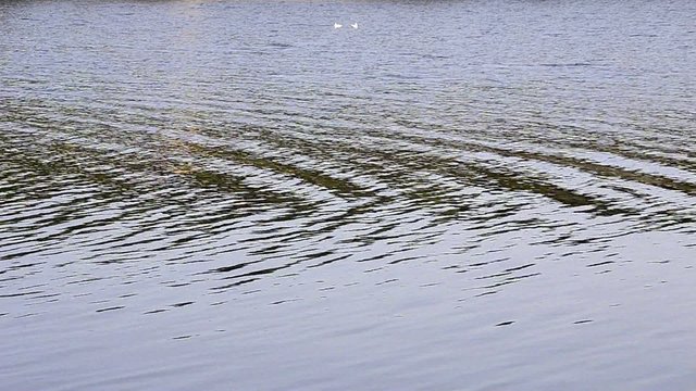 Spring fishing