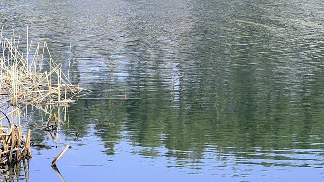 Spring fishing
