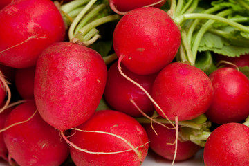 fresh radish background