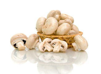 mushrooms (Agaricus) in basket on white background