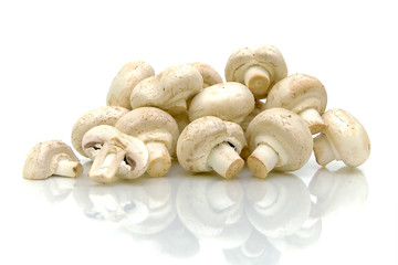 mushrooms close up on white background