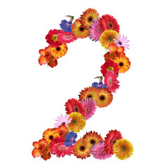 High resolution conceptual flower font isolated