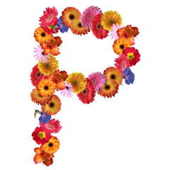 High resolution conceptual flower font isolated