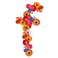 High resolution conceptual flower font isolated