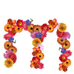 High resolution conceptual flower font isolated