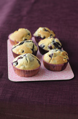 Muffins, myrtille