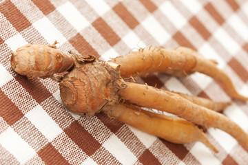 Finger root herb